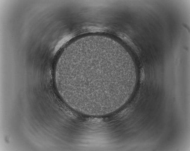 X0000102401261200808221840