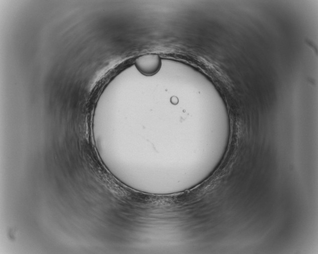 X0000102401262200808221840