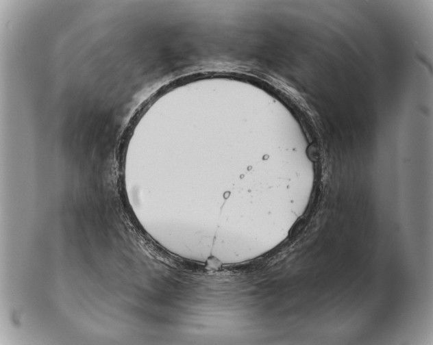 X0000102401264200808221840