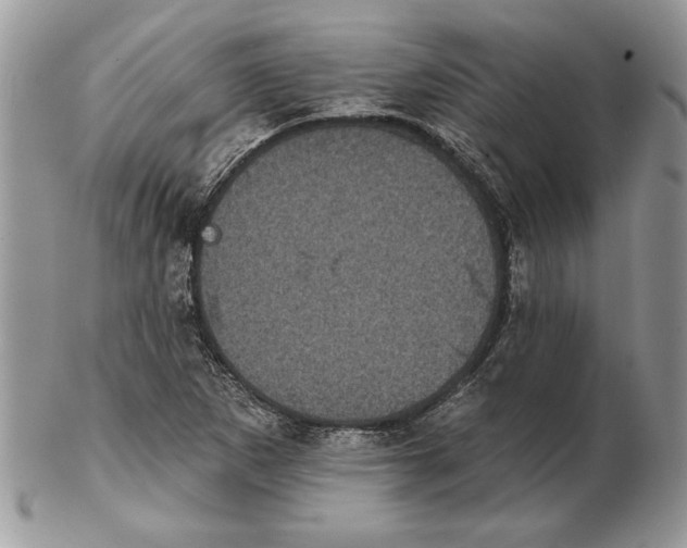 X0000102401265200808221840