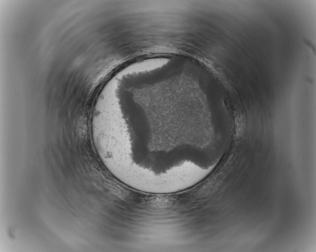 X0000102401266200808221840