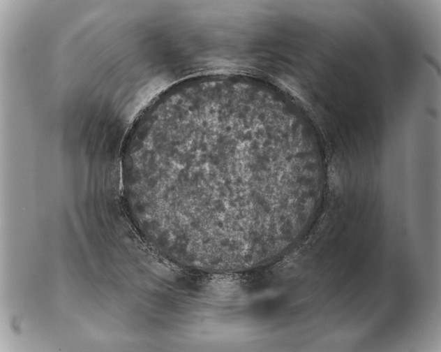 X0000102401267200808221840