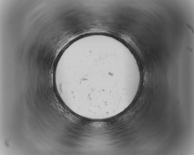 X0000102401268200808221840