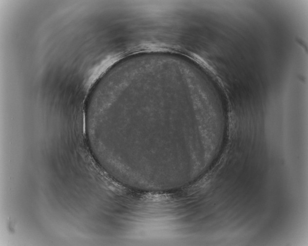 X0000102401269200808221840