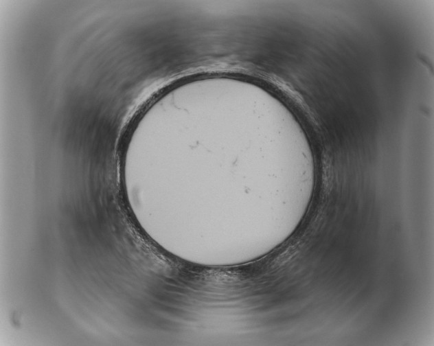 X0000102401270200808221840