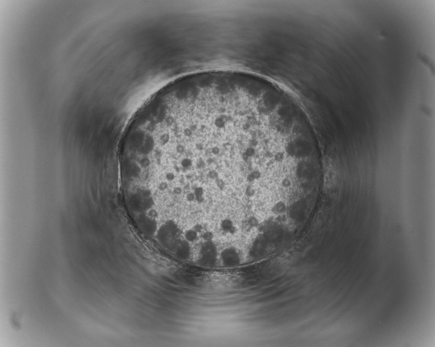 X0000102401271200808221840