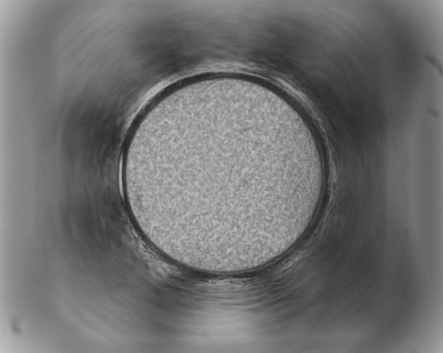 X0000102401272200808221840