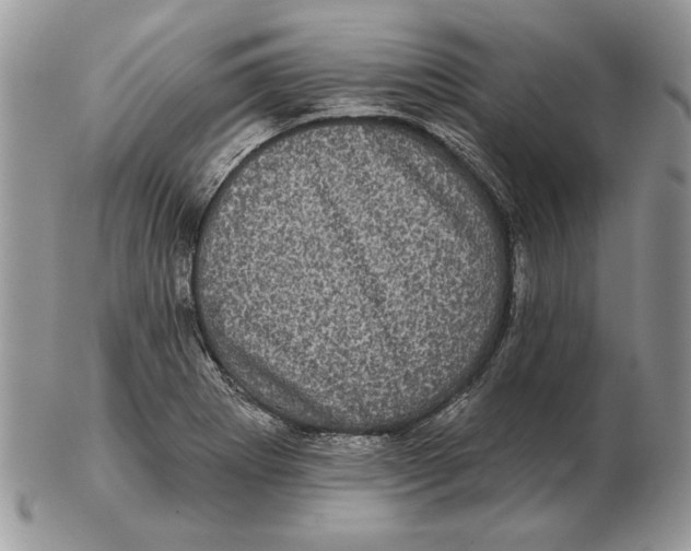 X0000102401273200808221840