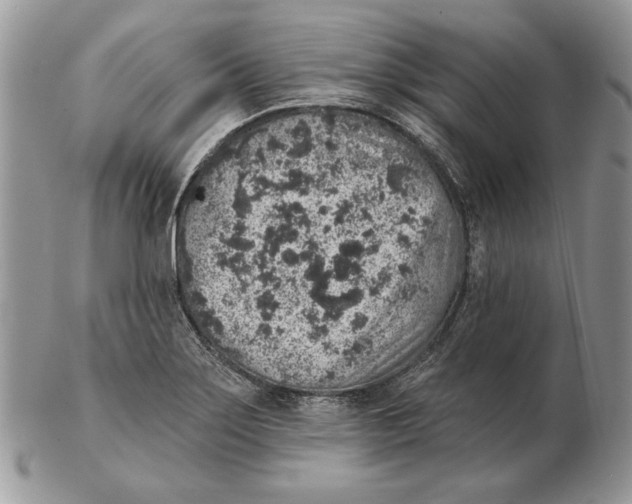 X0000102401275200808221840