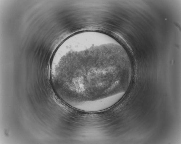 X0000102401276200808221839