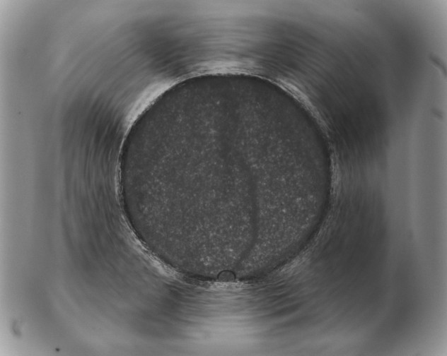 X0000102401277200808221839