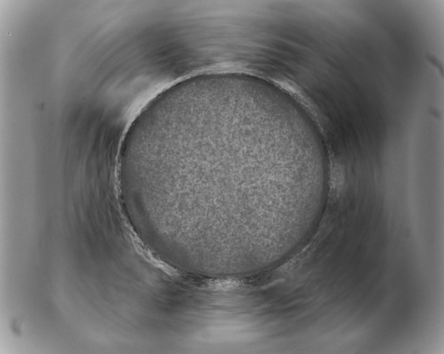 X0000102401278200808221839