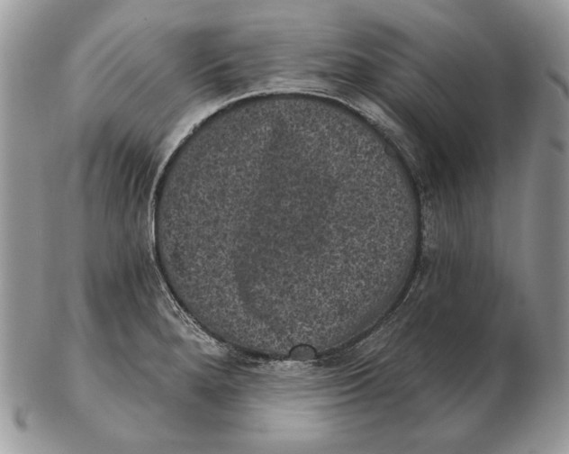 X0000102401280200808221839