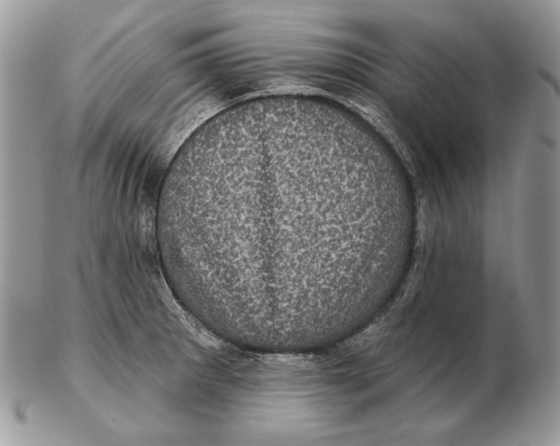 X0000102401281200808221839