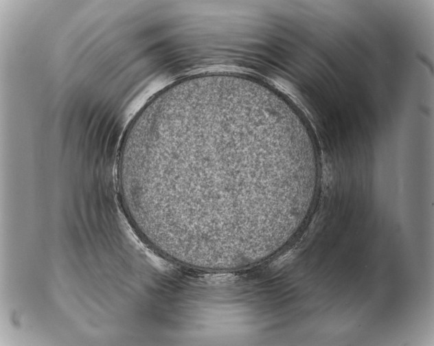 X0000102401282200808221839