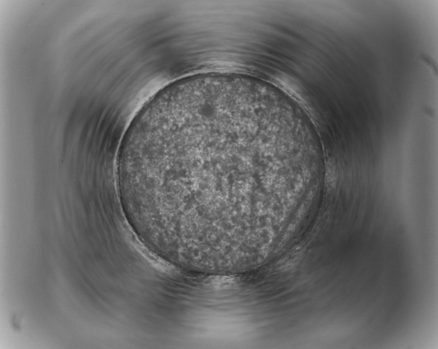 X0000102401283200808221839