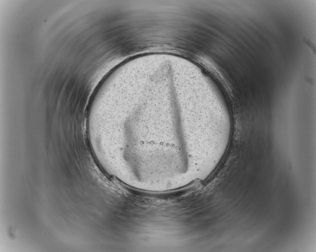 X0000102401284200808221839