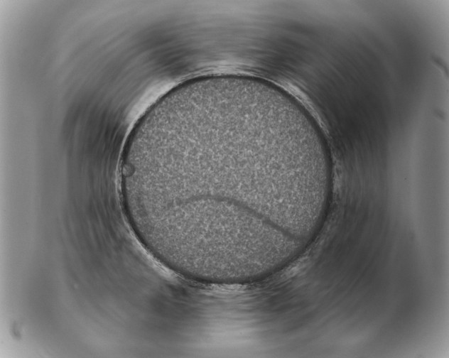 X0000102401285200808221839