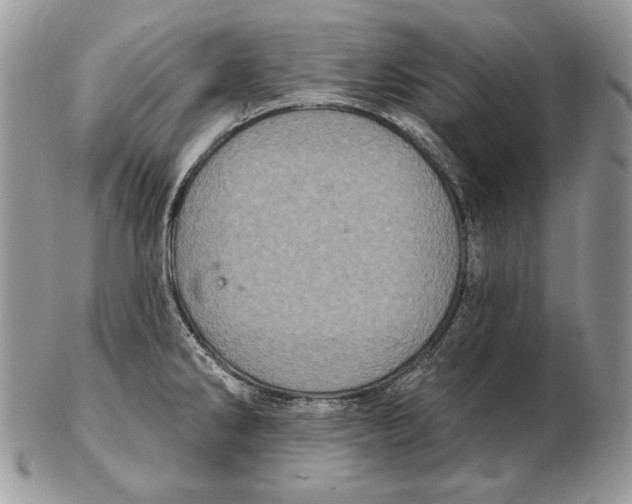 X0000102401286200808221839