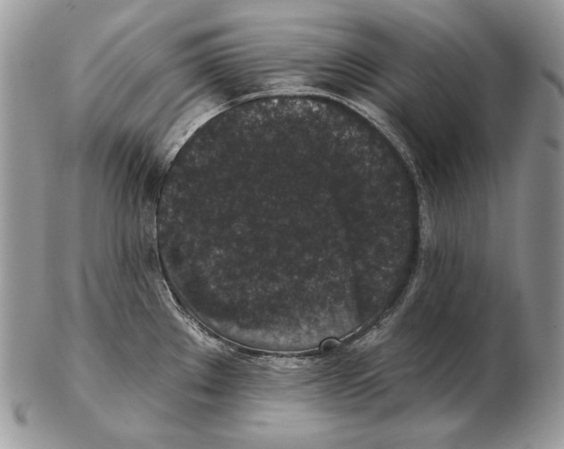 X0000102401289200808221839