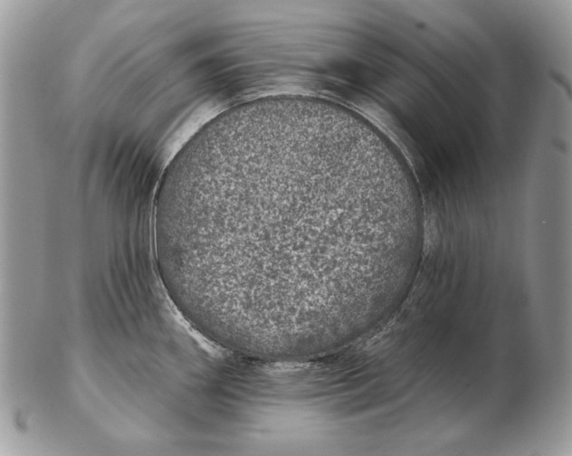 X0000102401290200808221839