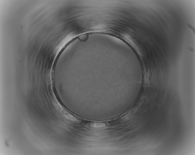 X0000102401291200808221839