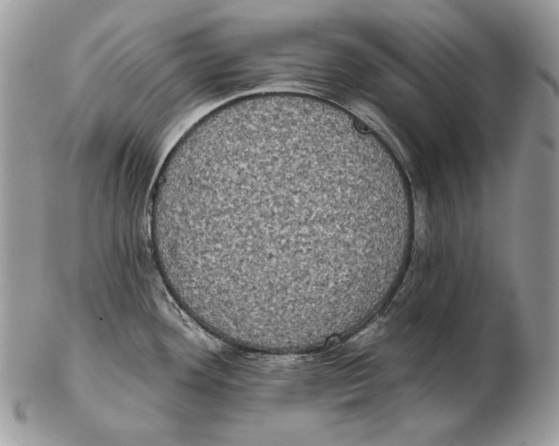 X0000102401292200808221839