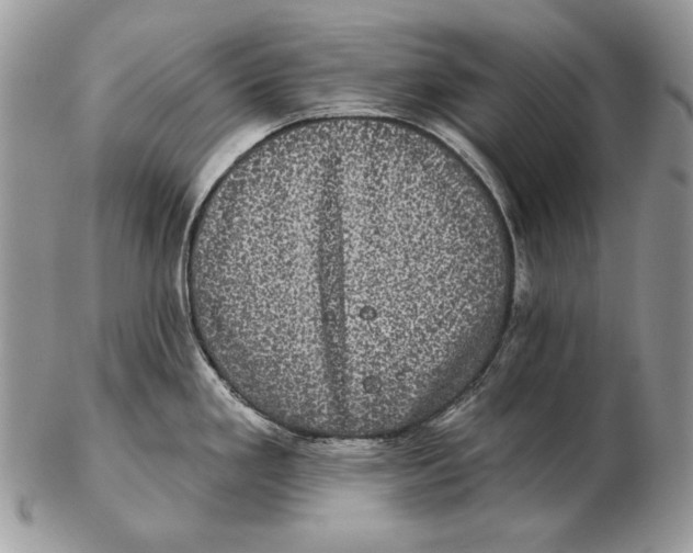 X0000102401293200808221839