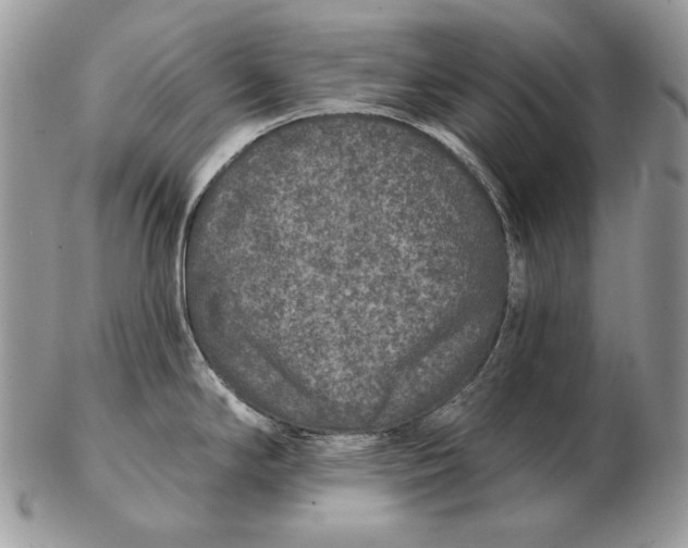 X0000102401294200808221839