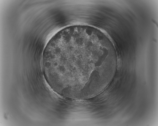 X0000102401295200808221839