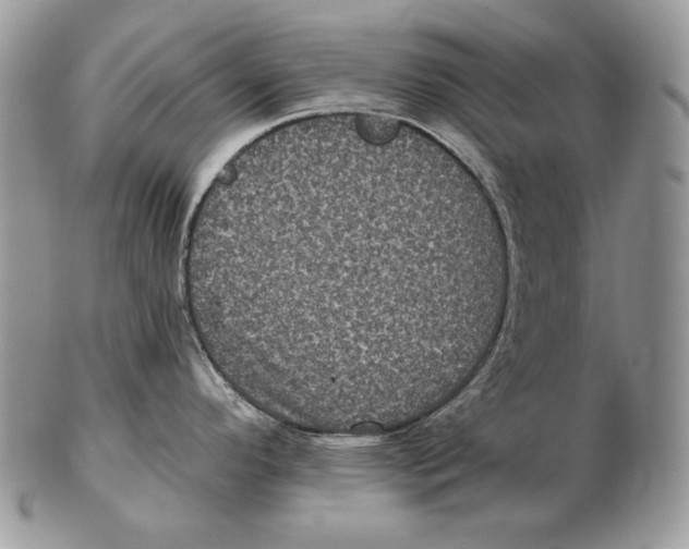 X0000102401296200808221839