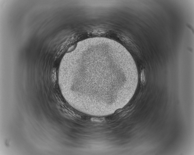 X0000102401299200808221839