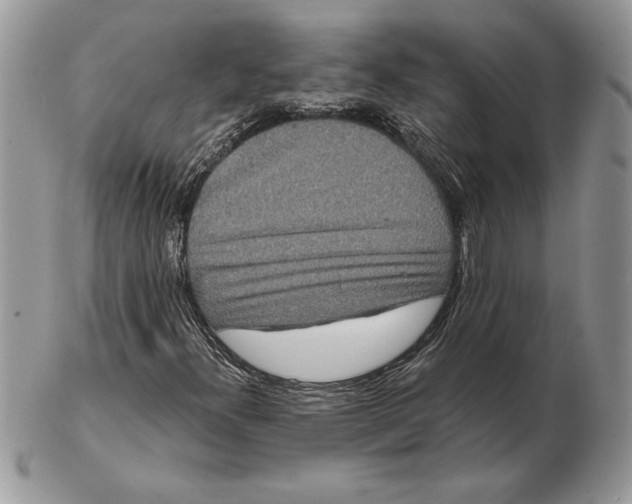 X0000102401300200808221839