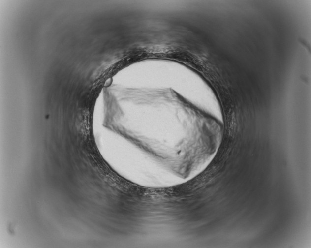 X0000102401301200808221839