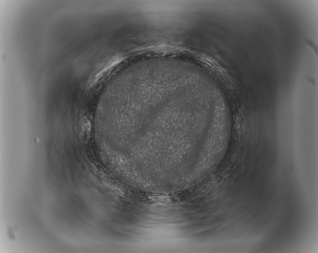 X0000102401302200808221839