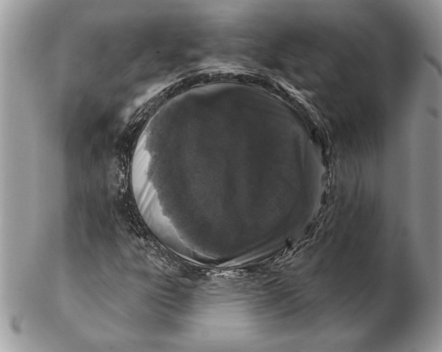 X0000102401303200808221839