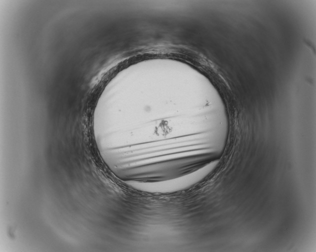 X0000102401304200808221839