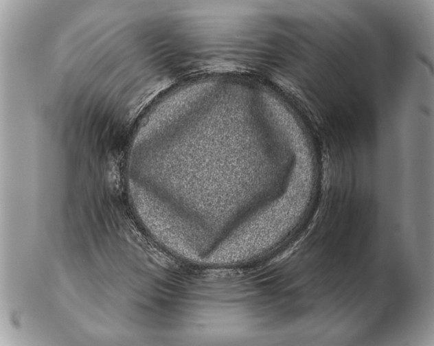 X0000102401305200808221839