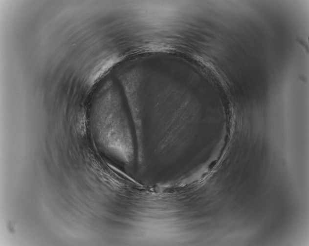 X0000102401306200808221839