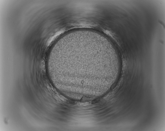 X0000102401307200808221839