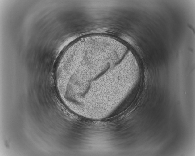 X0000102401308200808221839