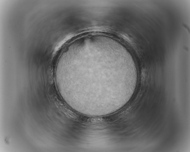 X0000102401310200808221839