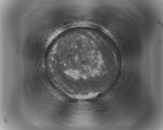 X0000102401312200808221839