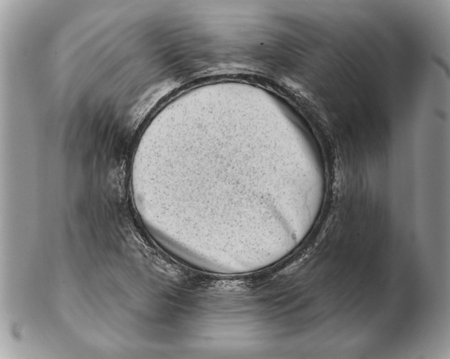 X0000102401313200808221839