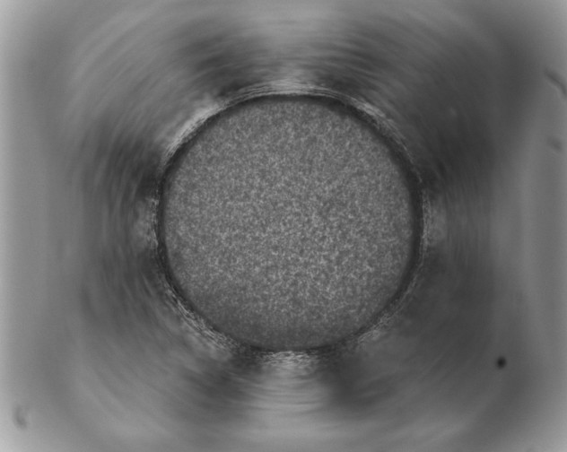 X0000102401314200808221839