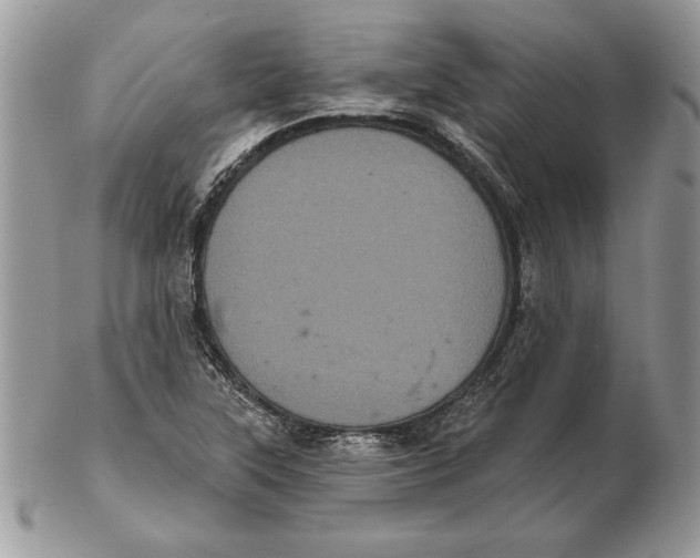 X0000102401315200808221839