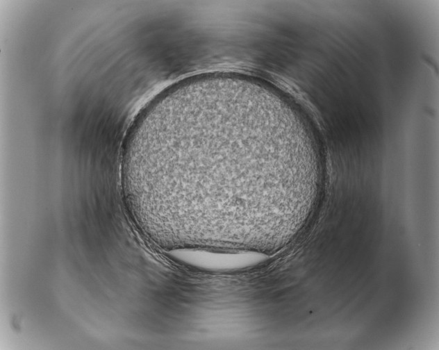 X0000102401316200808221839