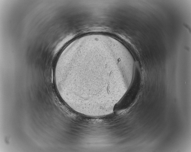 X0000102401317200808221839