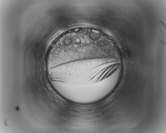 X0000102401318200808221839