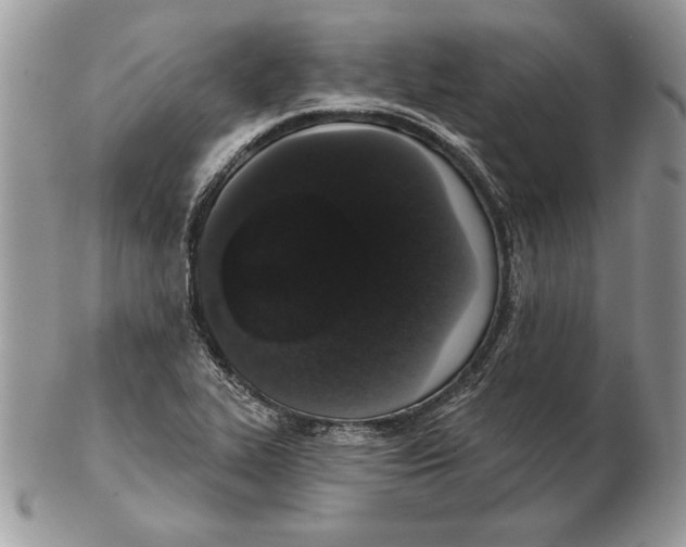 X0000102401319200808221839